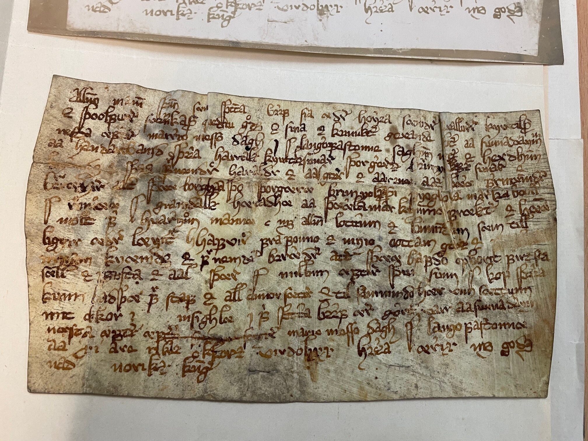 Drap, eiendomsrett og lovbrudd: hva middelalderbrevene fra Øst-Telemark kan fortelle oss om livet her i middelalderen